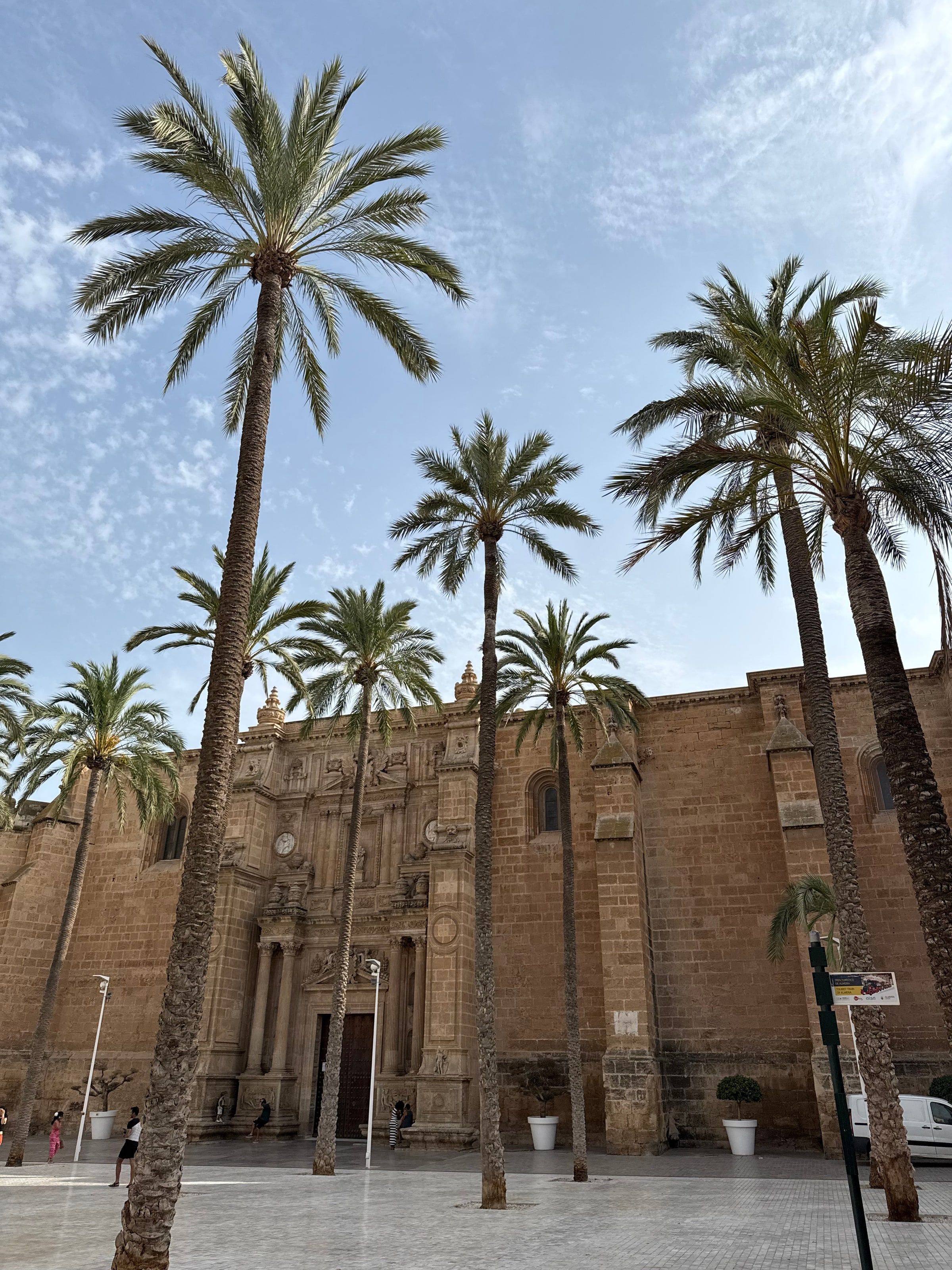 La Catedral de Almería entre palmeras