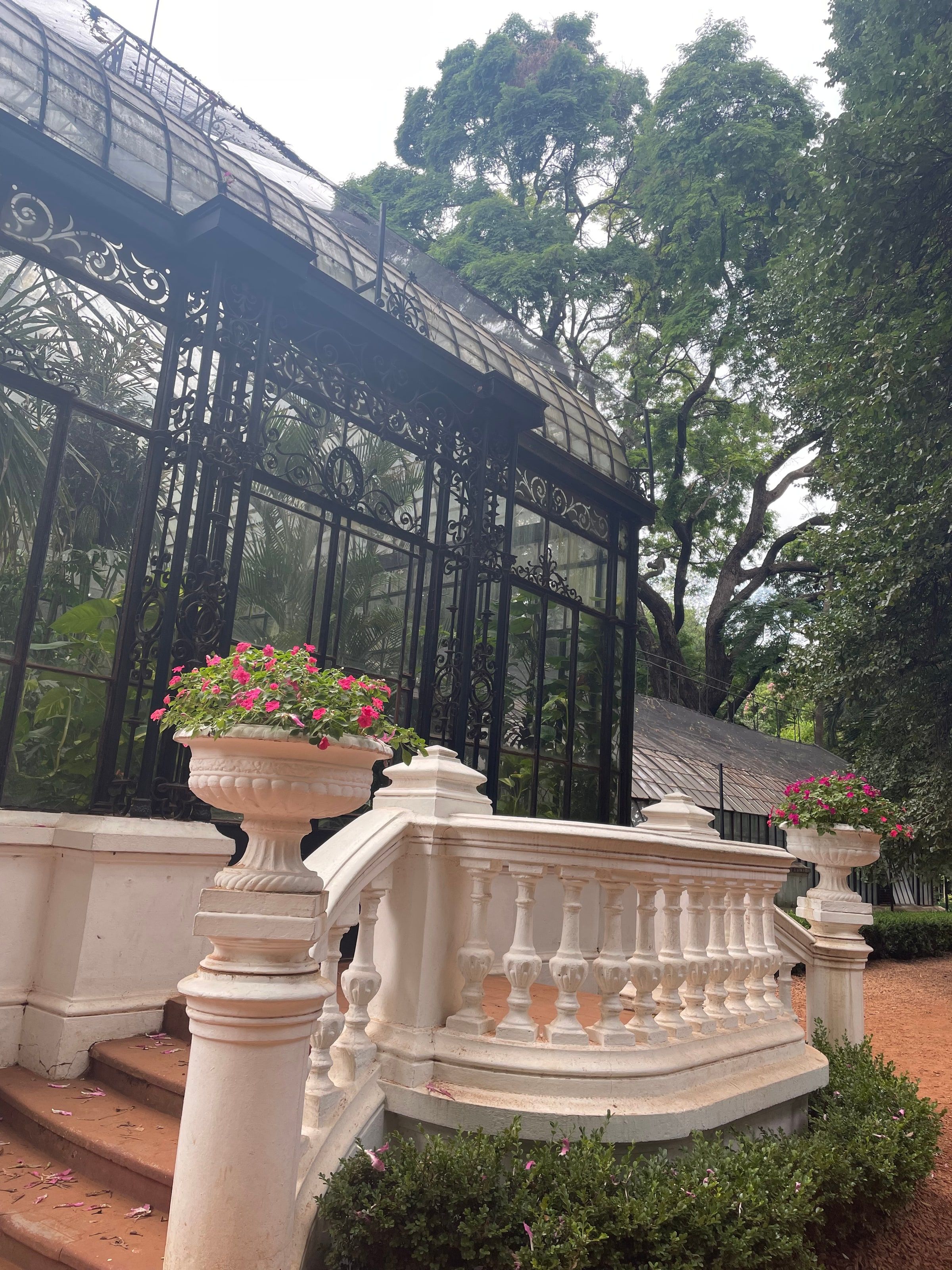 El invernadero del Jardín Botánico
