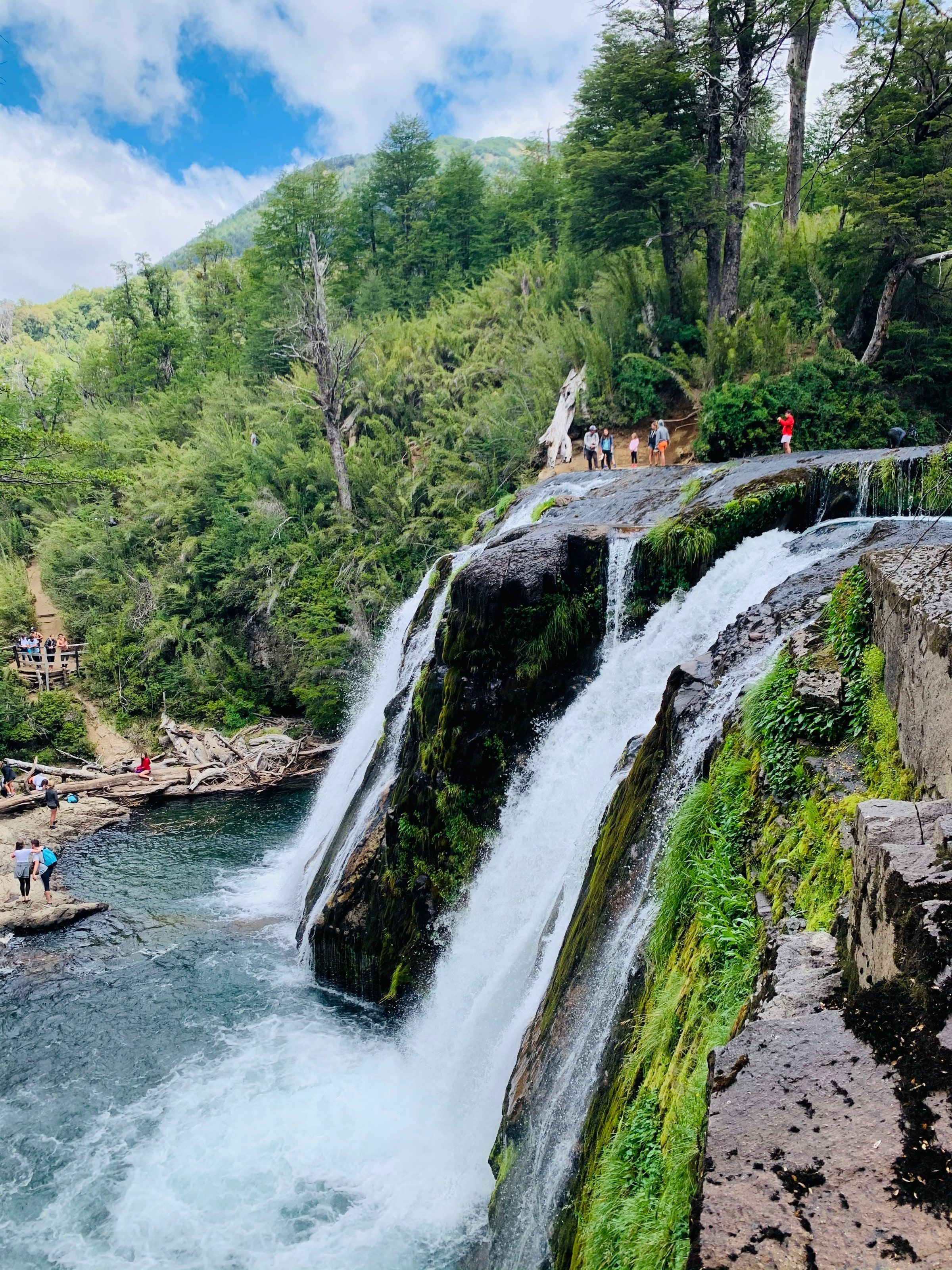 Una cascada en el bosque, sobre la Ruta de los Siete Lagos