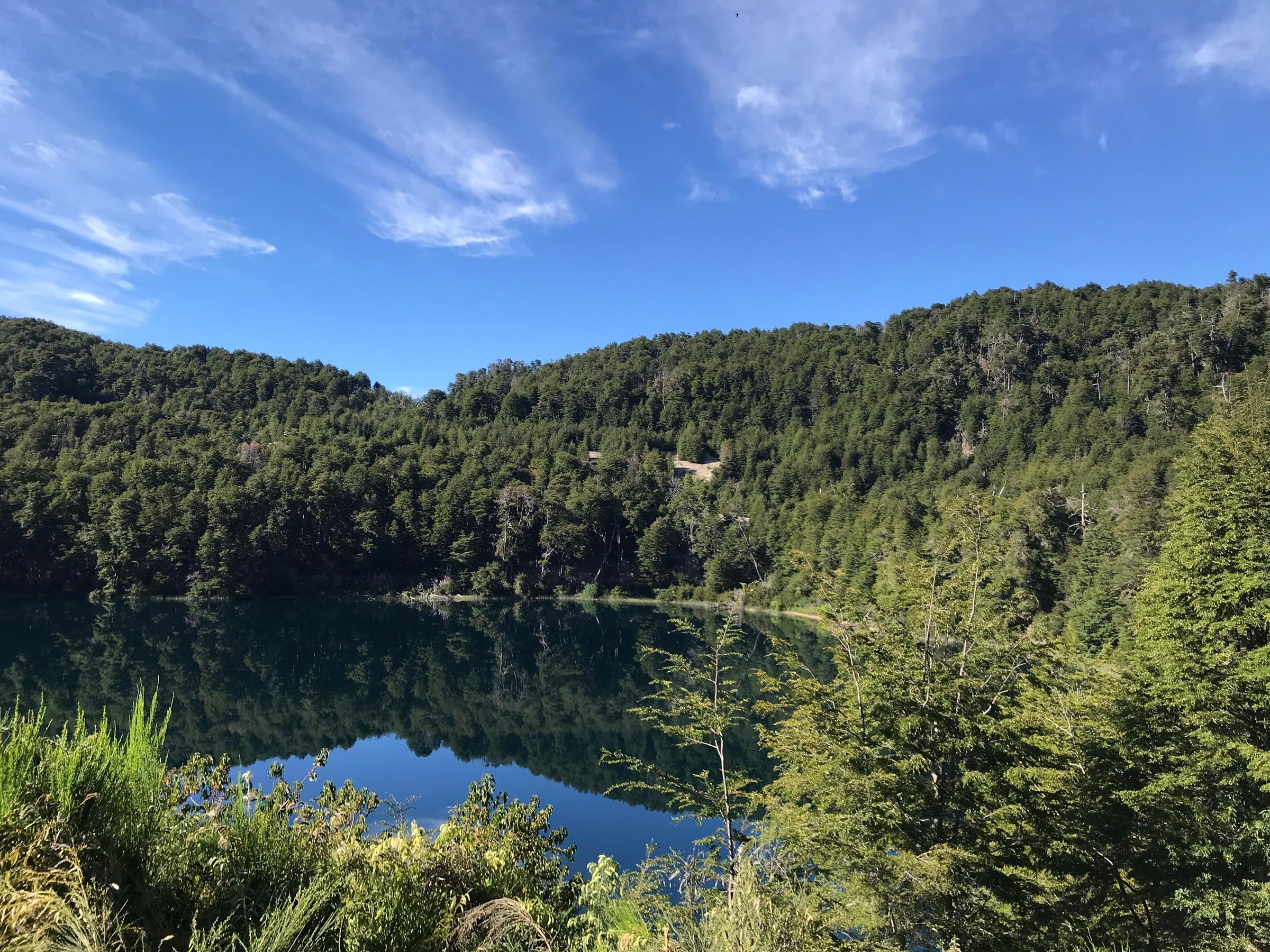 Un lago quieto entre montañas con bosque