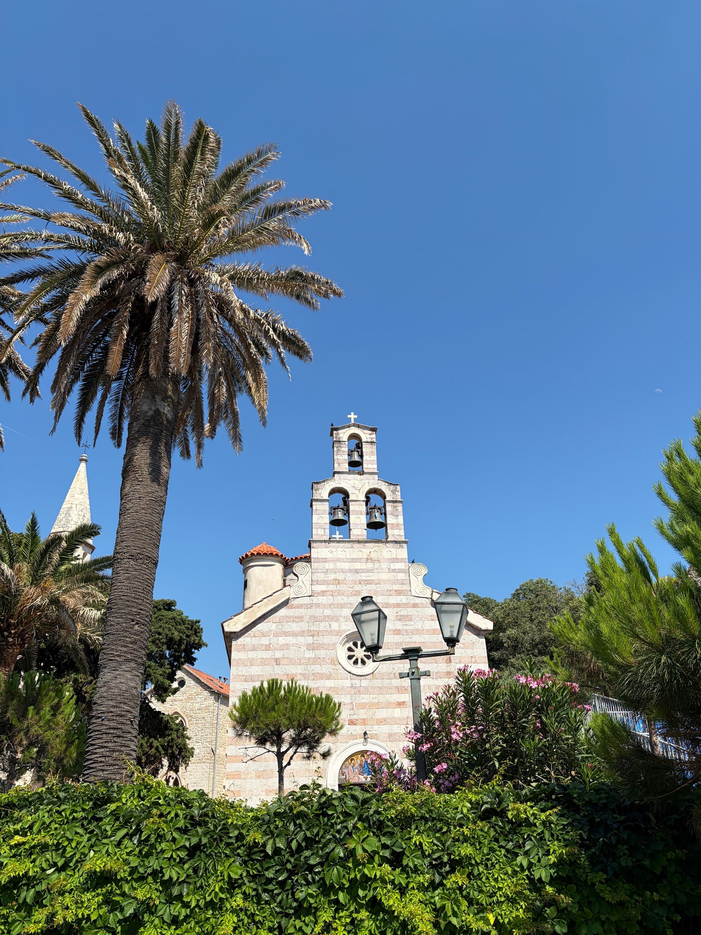 Una iglesia blanca con torre y palmeras en el casco viejo de Budva
