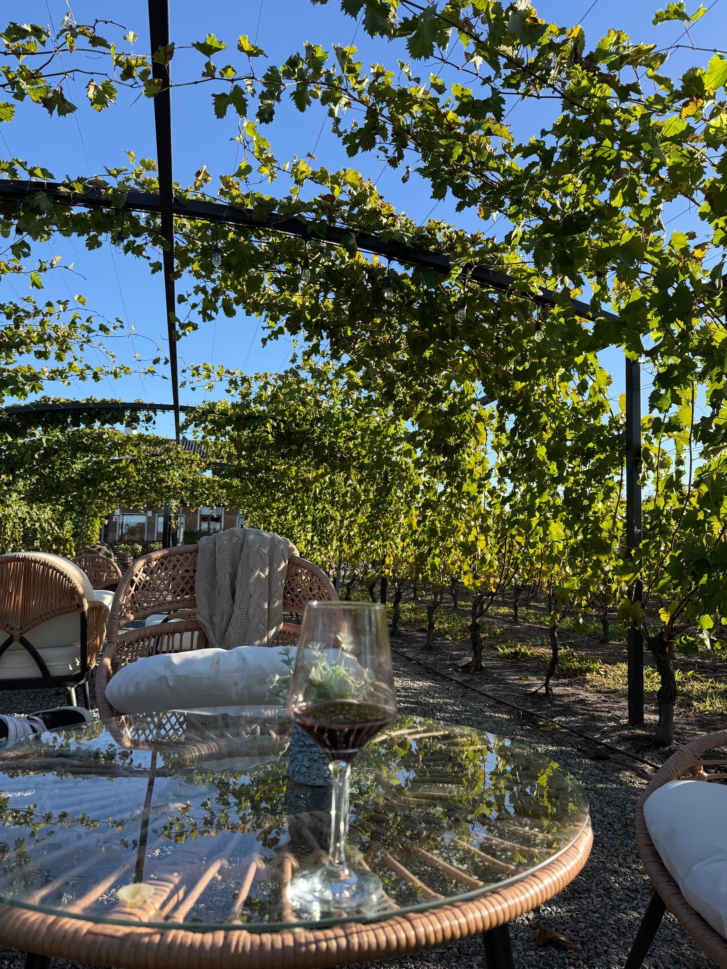 Mesa con copas de vino en un jardín