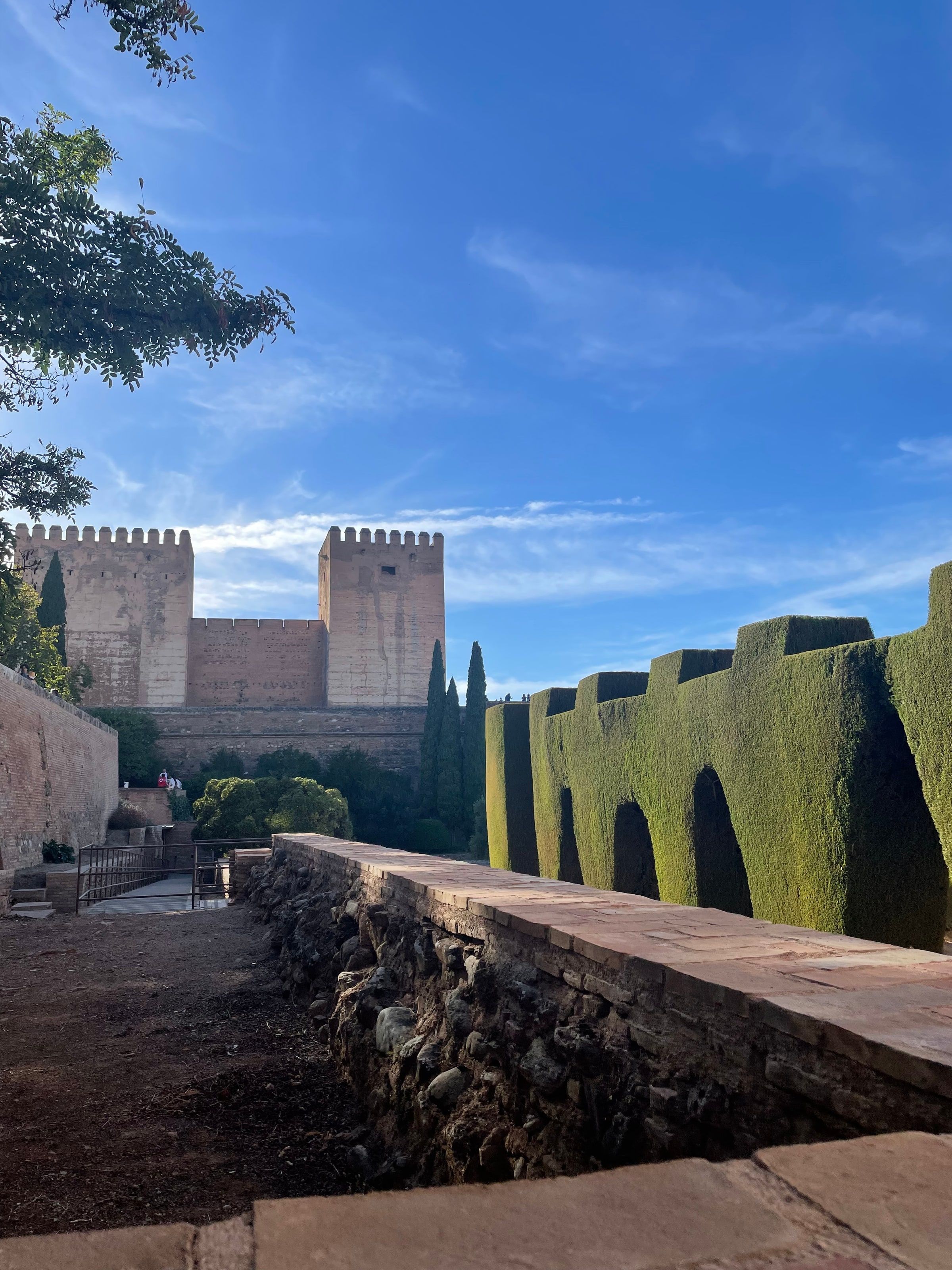 Las torres de la Alcazaba entre cipreses