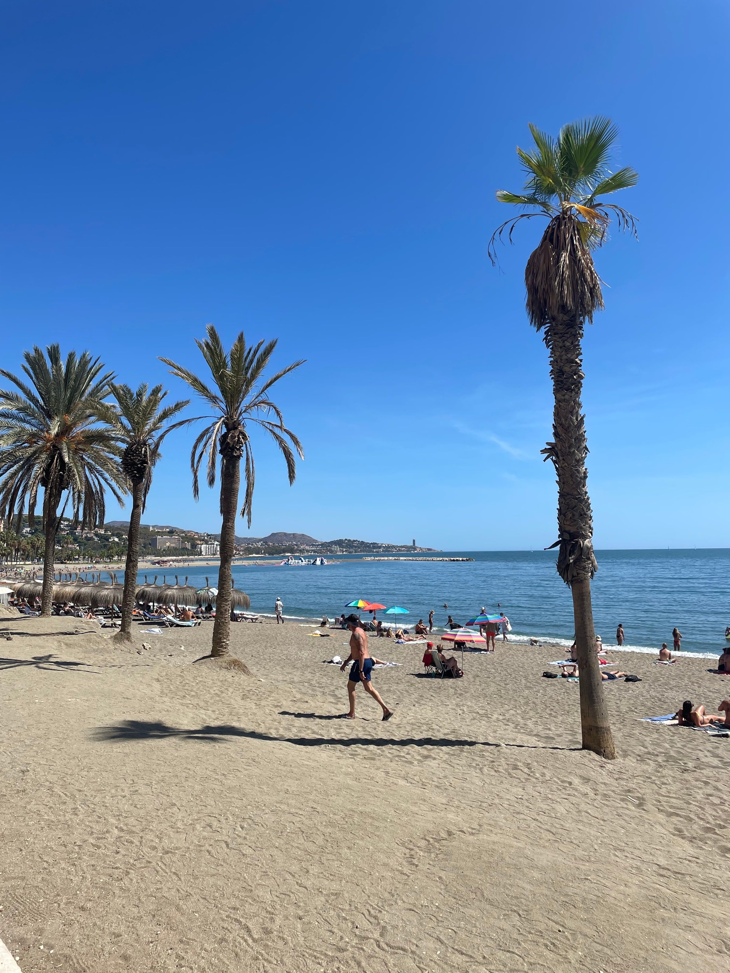 La playa con palmeras