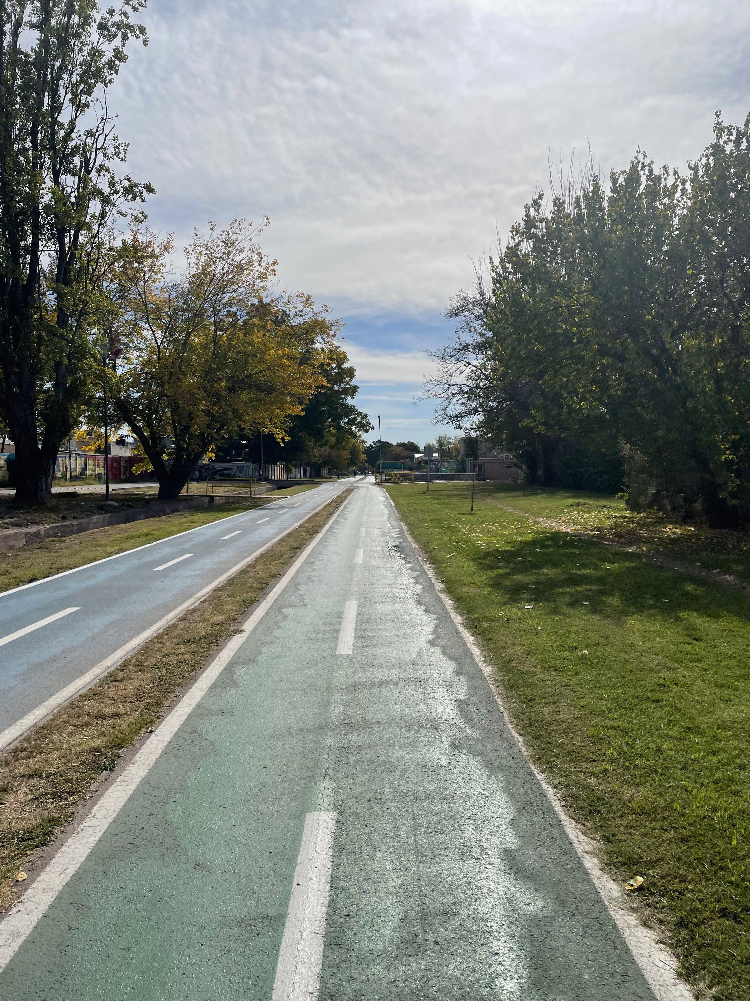 Una ciclovía entre árboles en Godoy Cruz