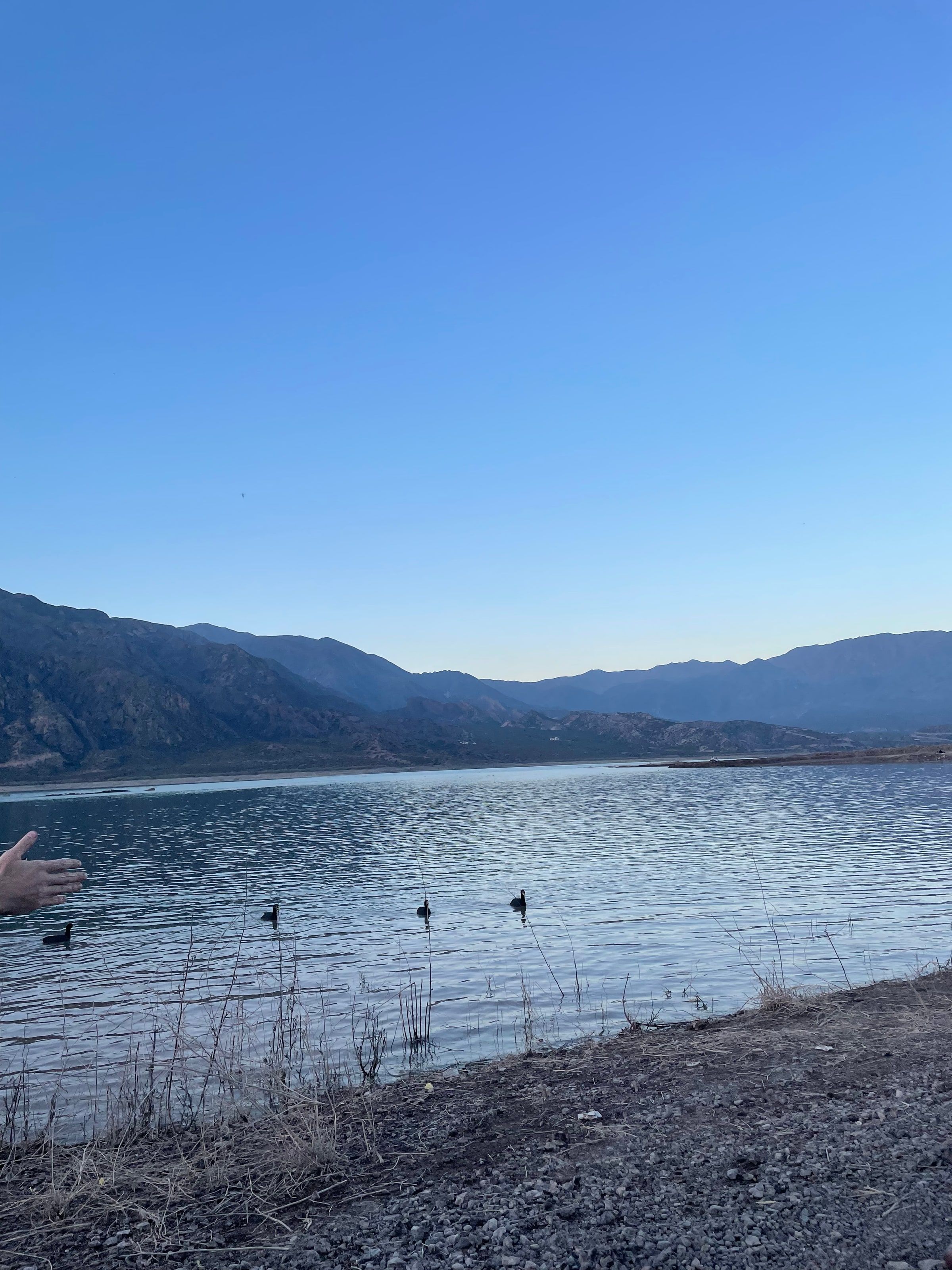 Potrerillos a la tarde, con patos en el agua