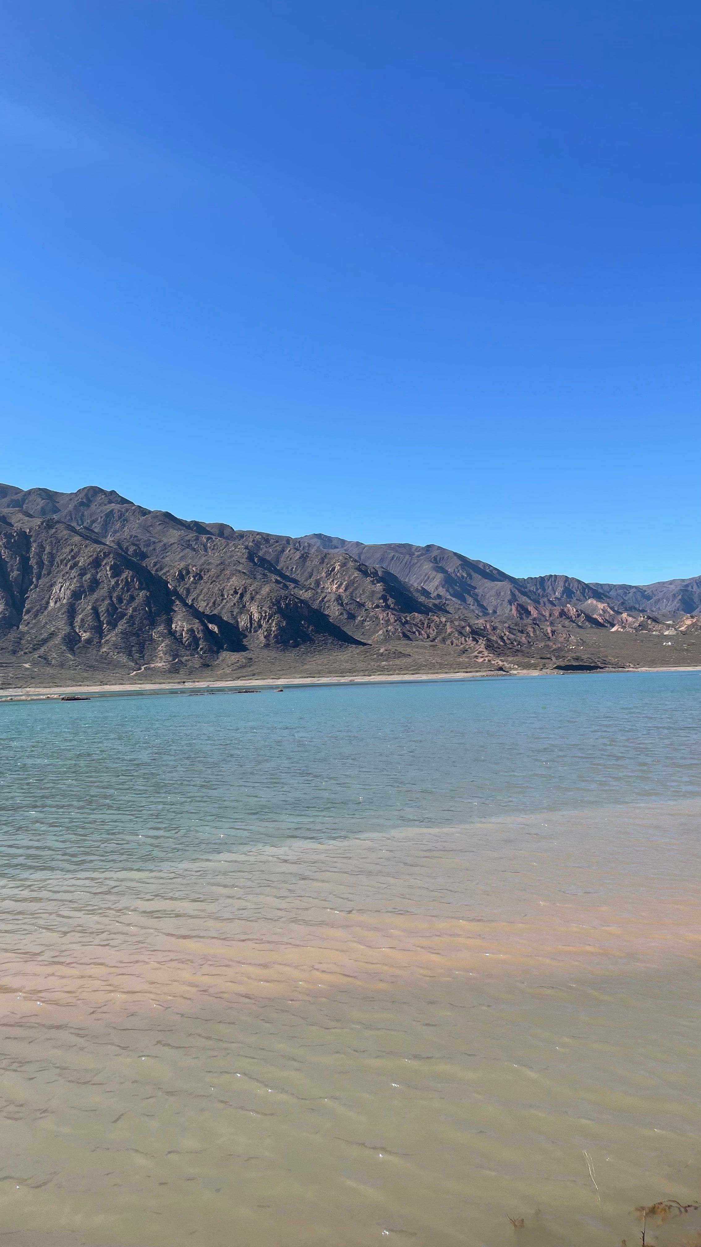 El embalse de Potrerillos con la cordillera