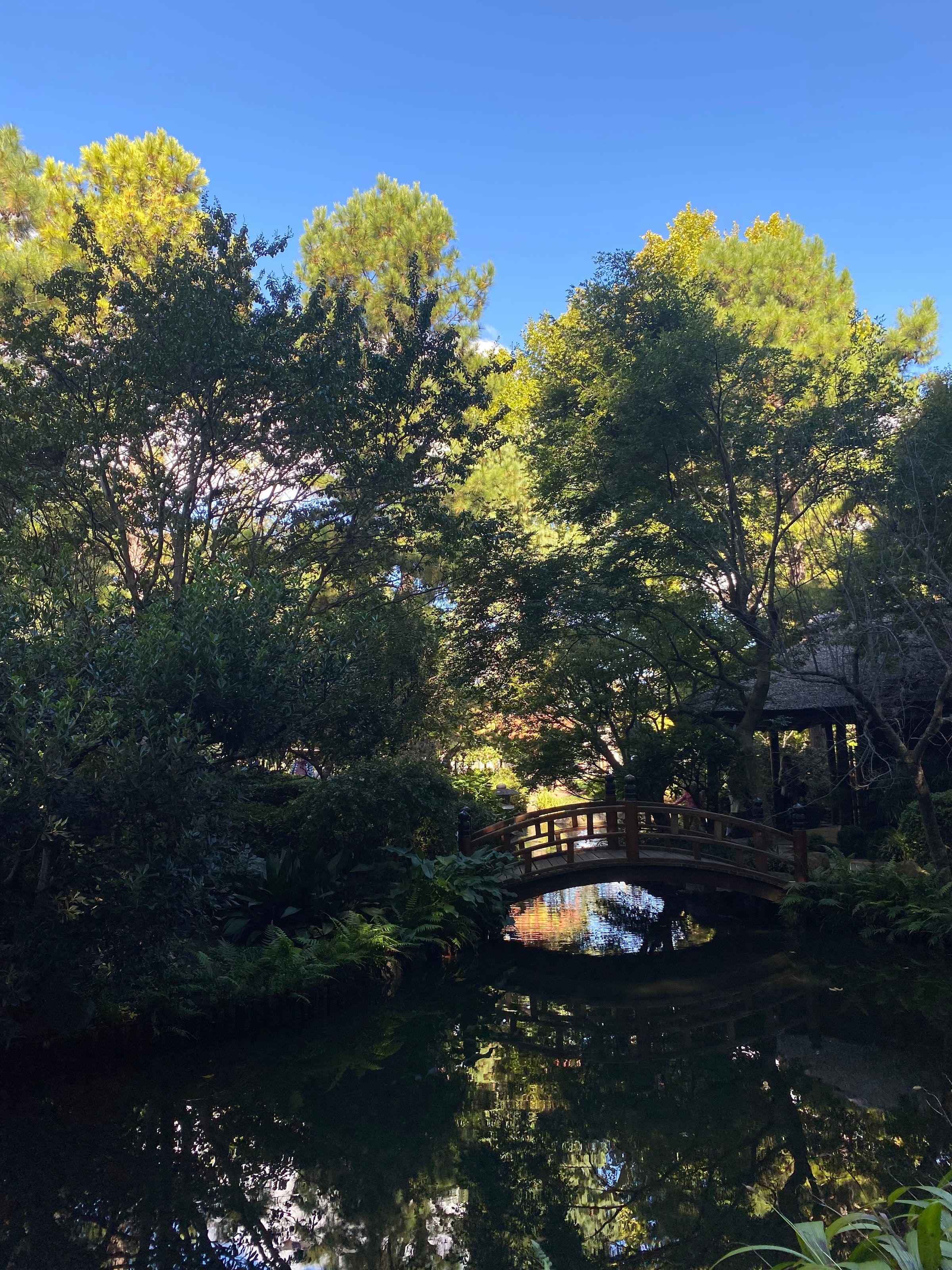 El estanque con el puente de madera del Jardín Japonés