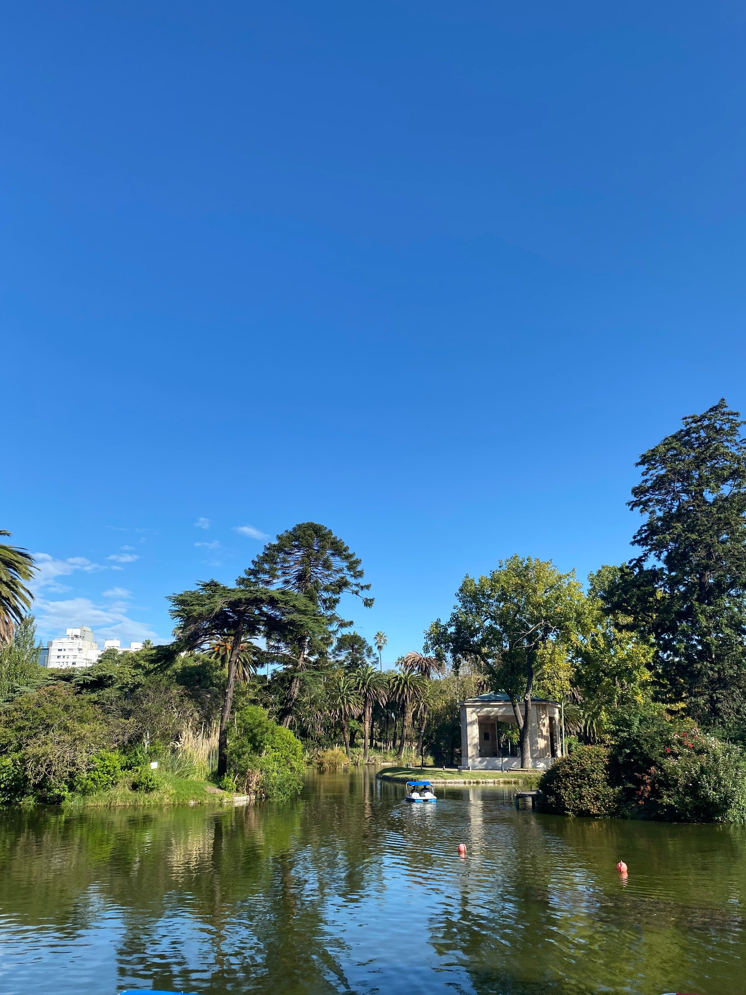 El lago del Parque Rodó con árboles y palmeras