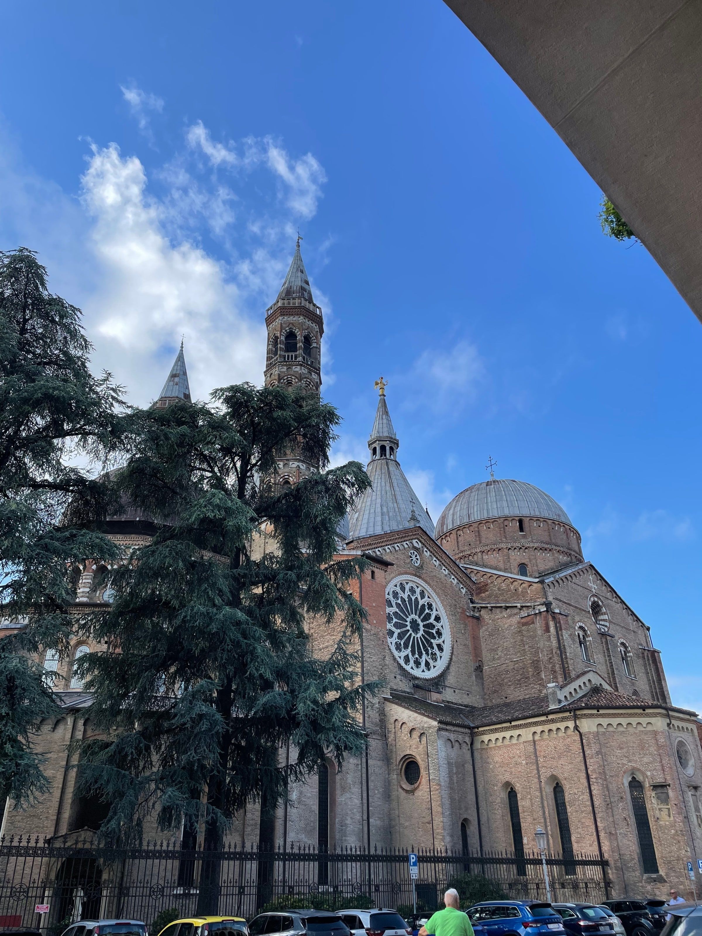 La Basílica de San Antonio desde Piazza del Santo, con un árbol adelante