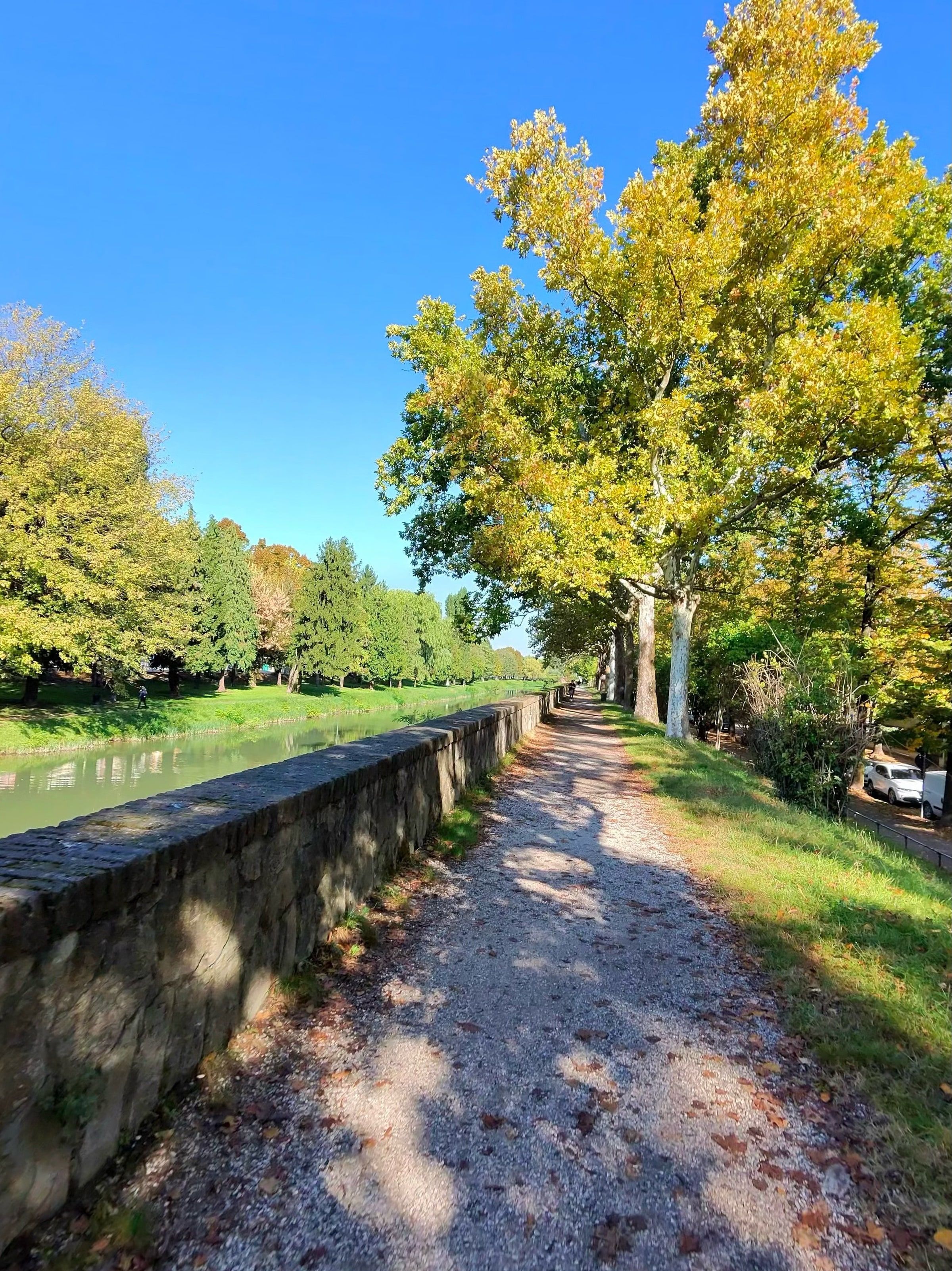 Paseo arbolado junto al río en Padova