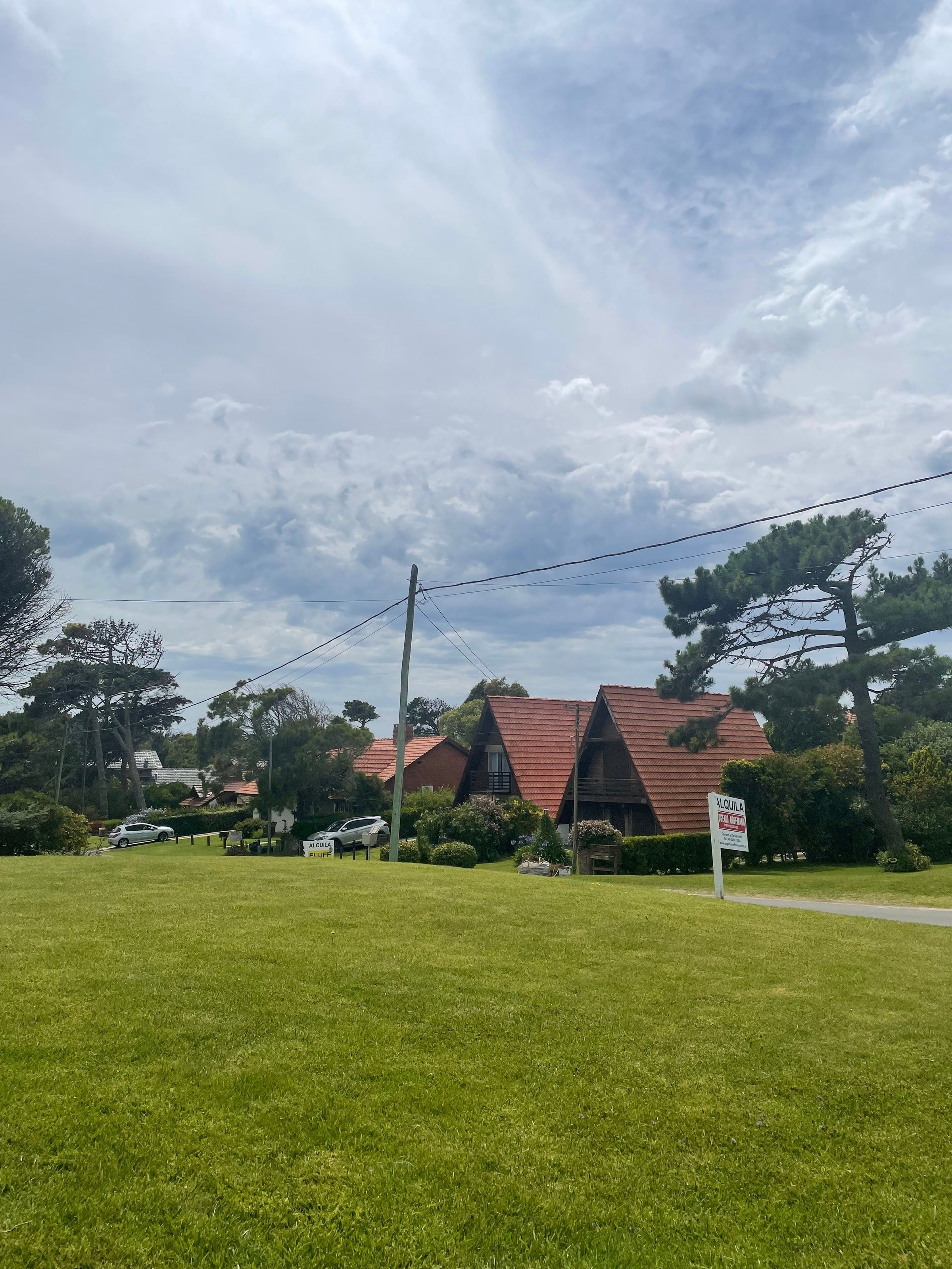 Casas entre el bosque de pinos