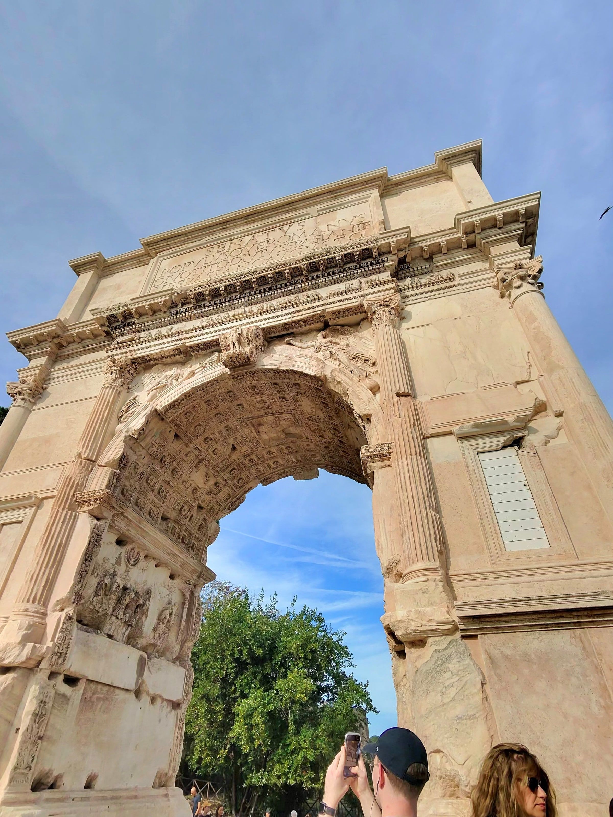 El Arco de Tito con un olivo