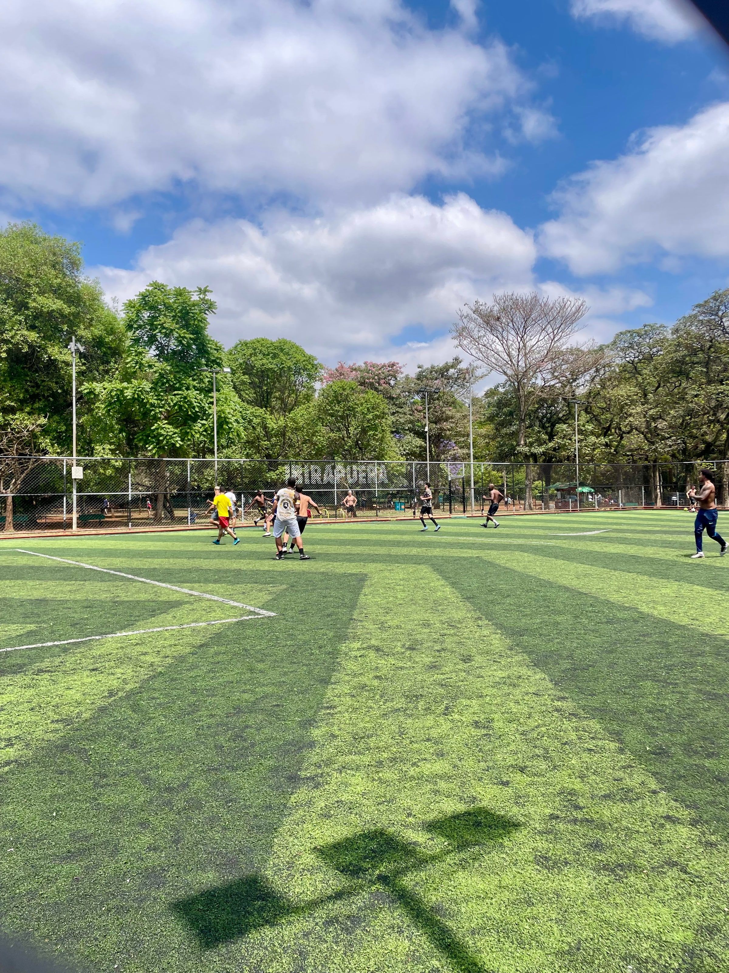 Canchitas de fútbol en el Parque Ibirapuera