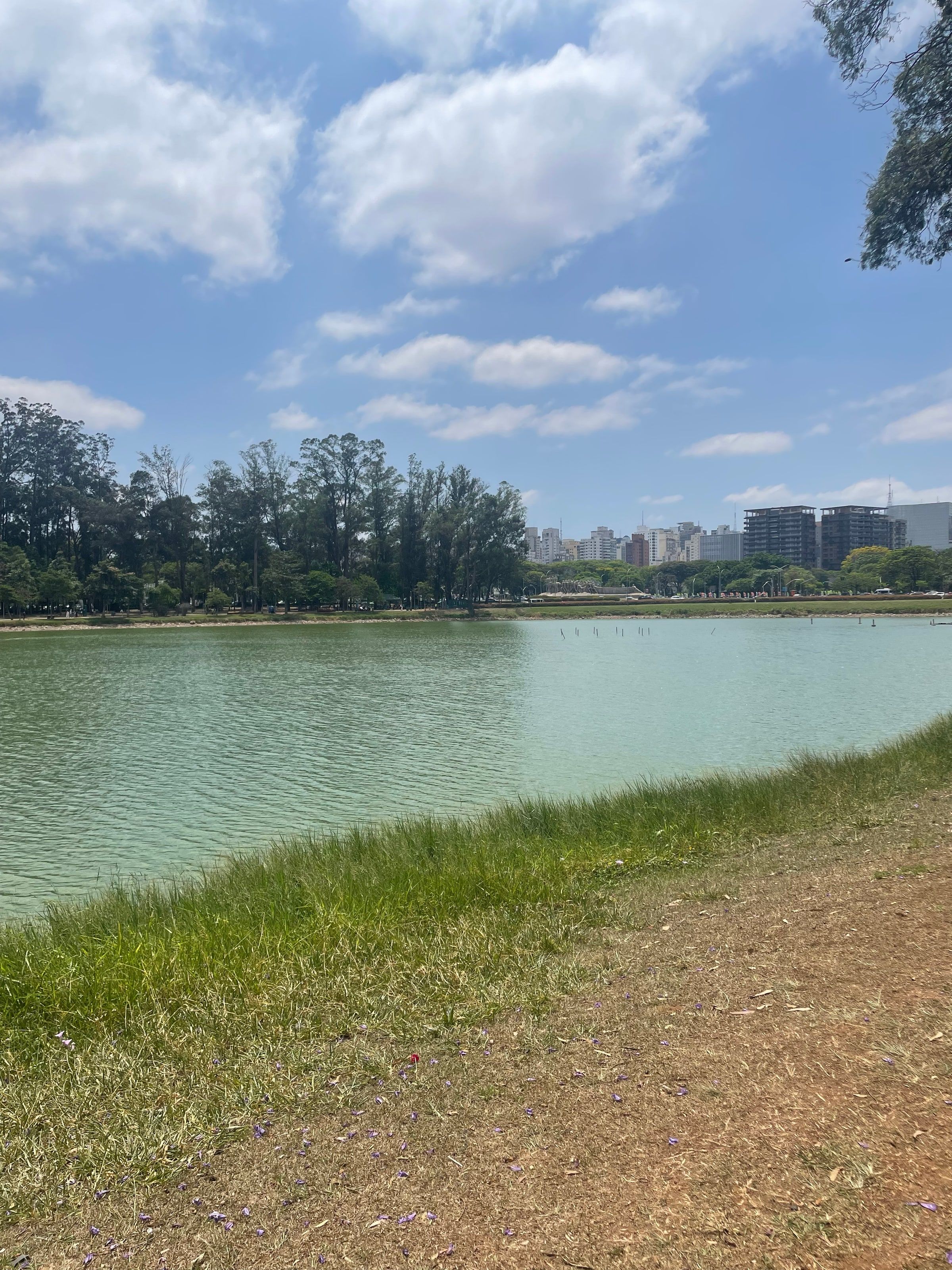 El lago del Ibirapuera con la ciudad detrás