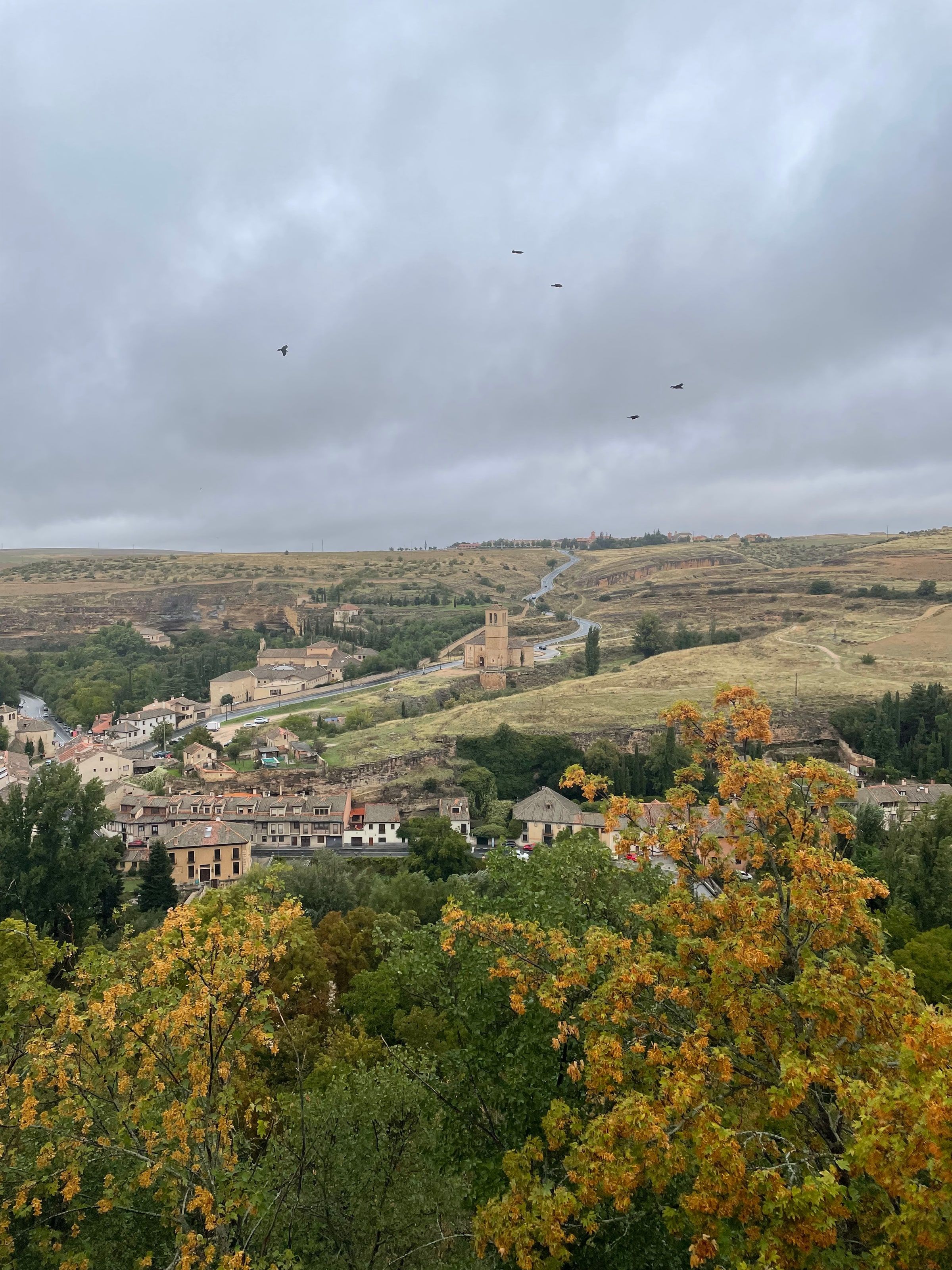 Segovia vista desde arriba, con el campo detrás