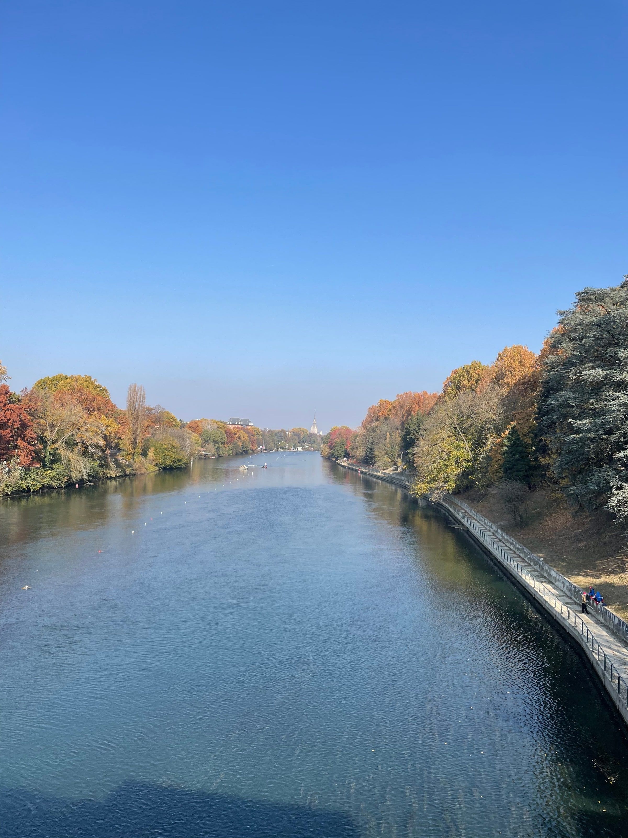 El Po desde el puente, con los árboles amarillos
