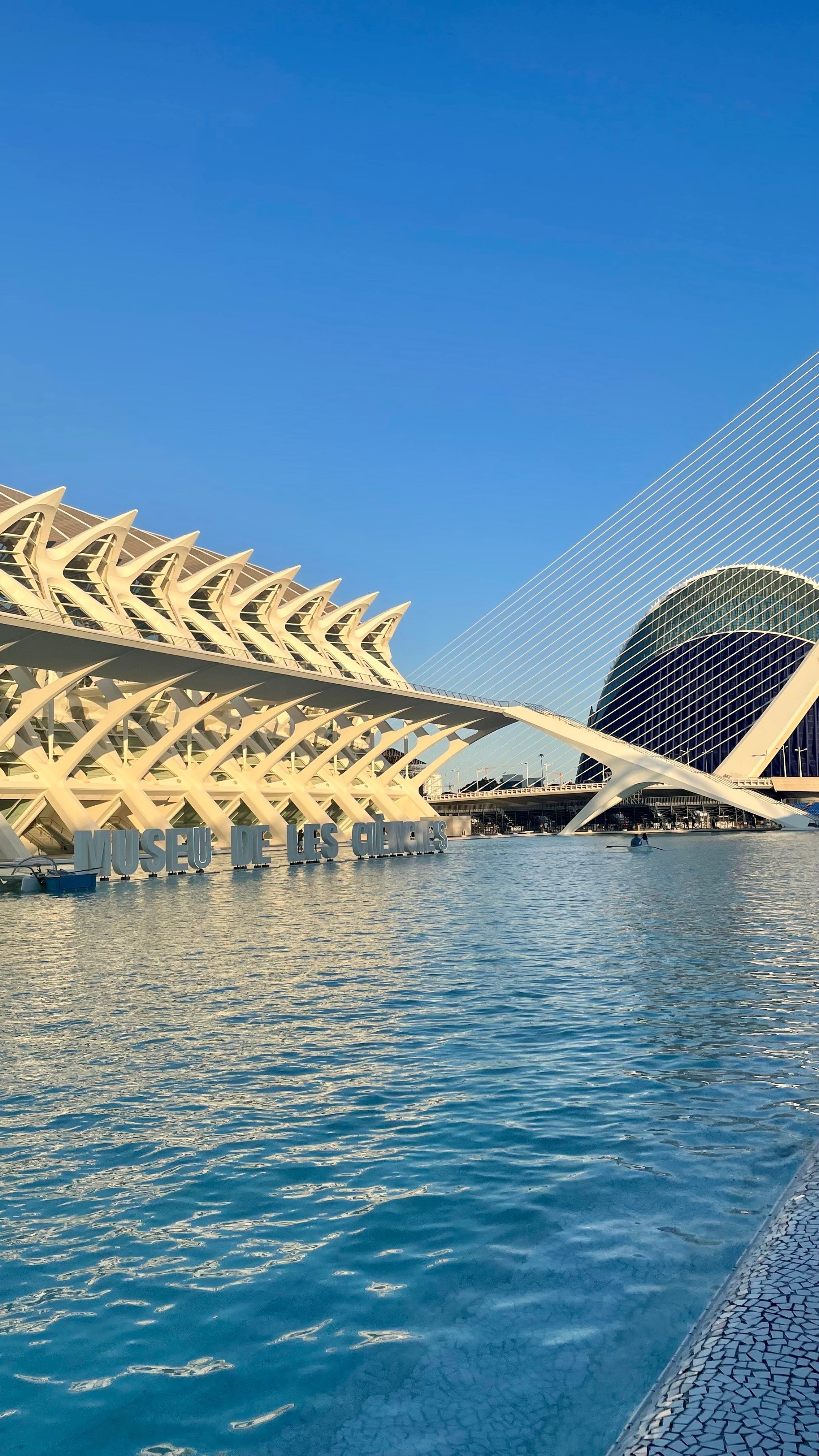 El Museo de las Ciencias de la Ciudad de las Artes